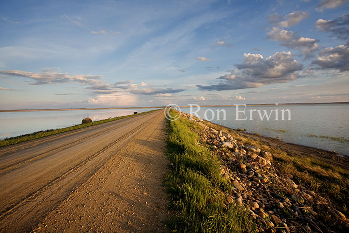 Road Across Reed Lake, SA