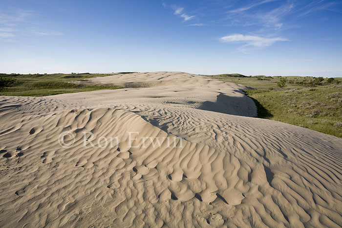 Saskatchewan's Great Sandhills