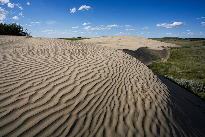 Saskatchewan's Great Sandhills