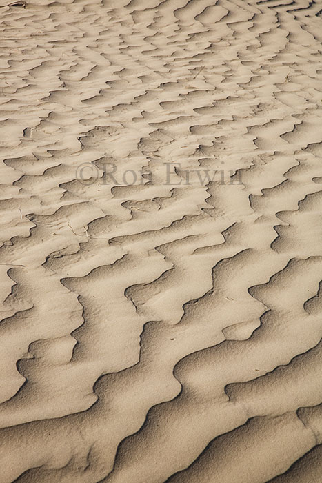 Drifting Sand
