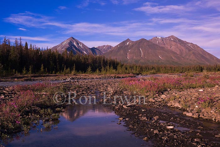 Kluane National Park &copy; Ron Erwin