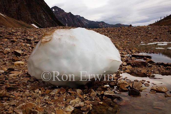 Glacial Ice &copy; Ron Erwin