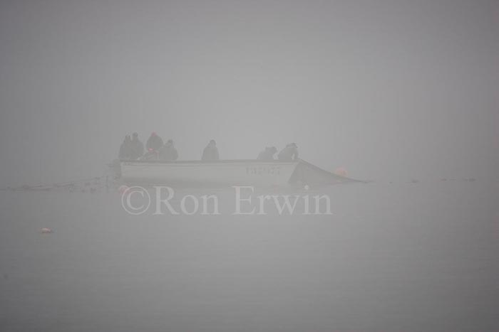 Capelin Fishing, Labrador