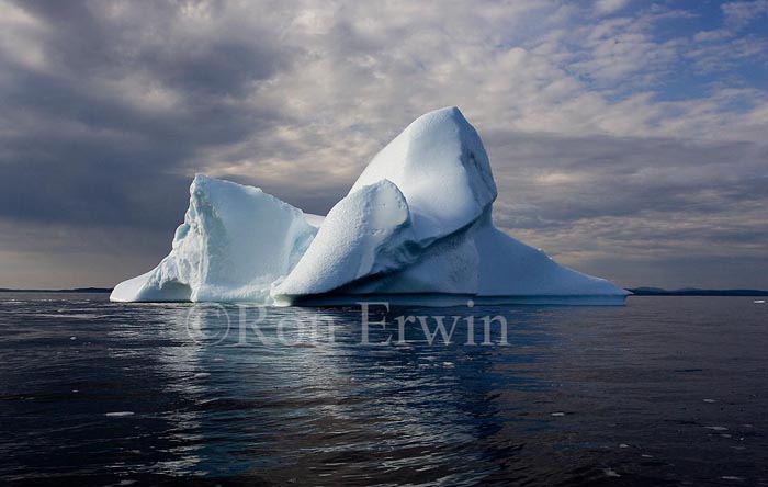 Labrador Iceberg