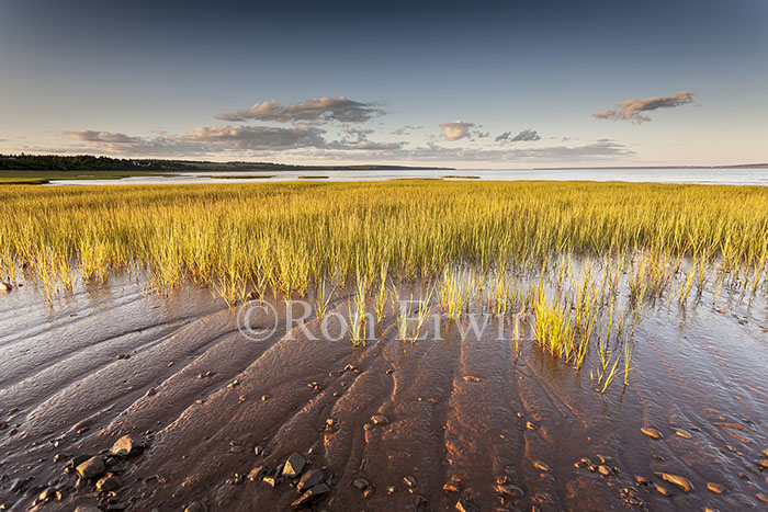 Fundy Mudflats in New Brunswick