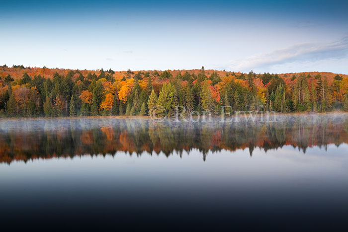Algonquin Park in Fall