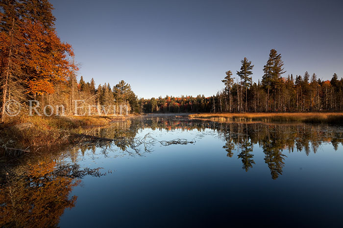 Source Lake Wetlands - click for larger