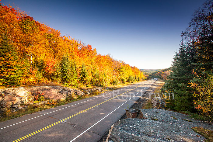Autumn on Highway 60 in Ontario