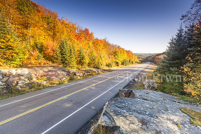 Autumn on Highway 60 in Ontario