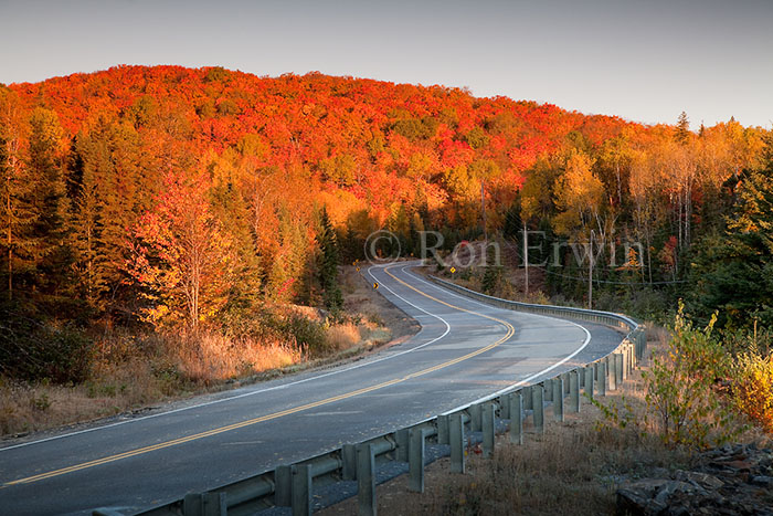 Autumn in Algonquin