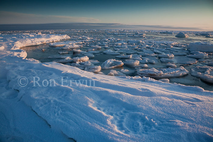 Hudson Bay - click for larger