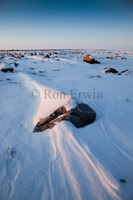 Hudson Bay Coastline - click for larger