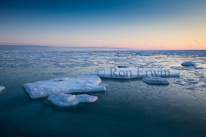 Ice on Hudson Bay - click for larger