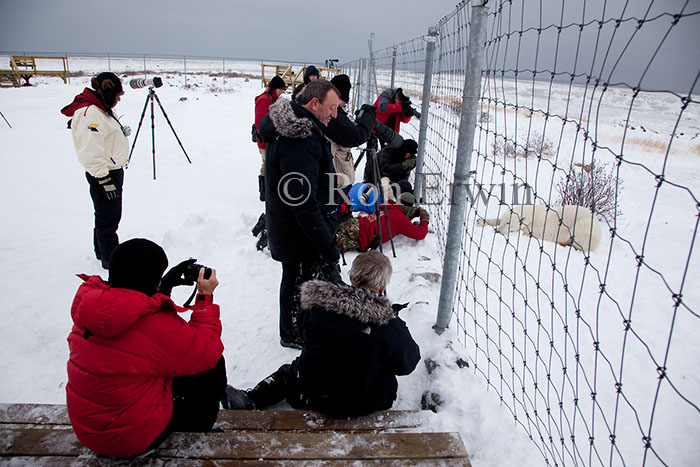 Photographers - click for larger