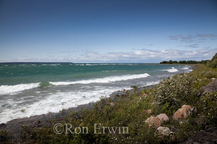 Barrie Island Shores