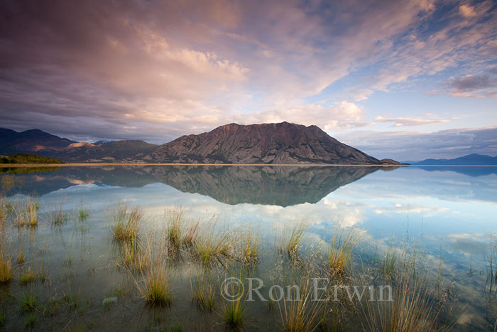 Kluane National Park