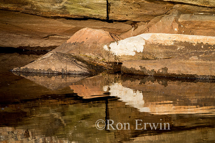 Rock Reflections