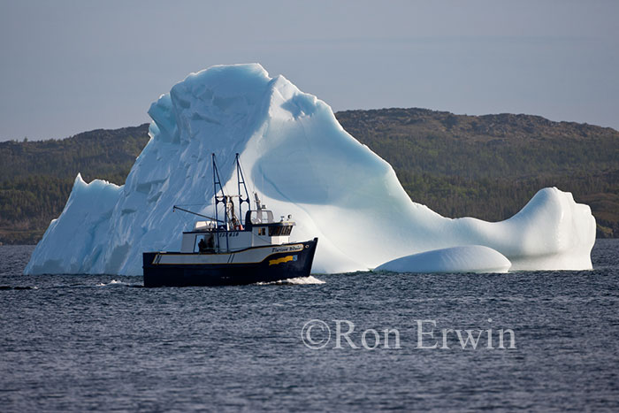 Fishing boat and iceberg