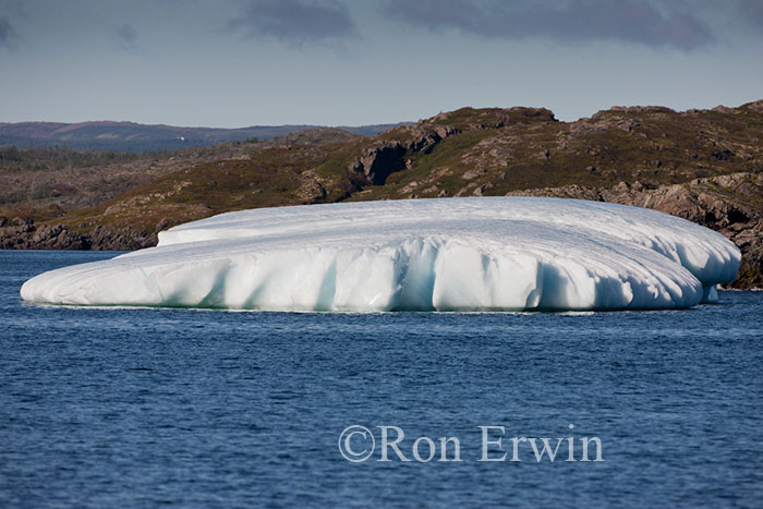 Iceberg