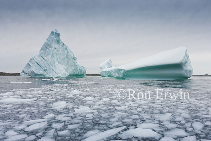 Icebergs