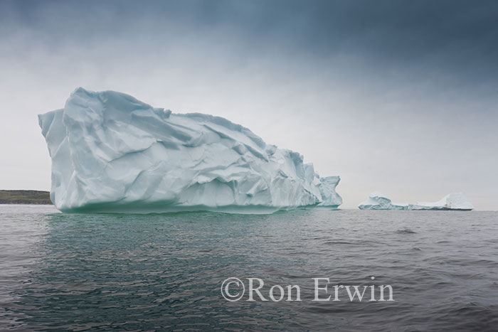 Icebergs Icebergs