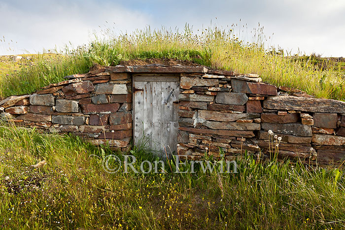 Root Cellar