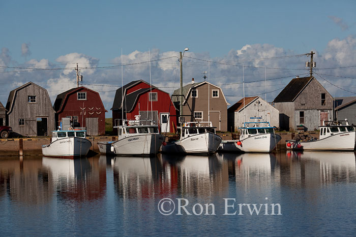 Malpeque Harbour