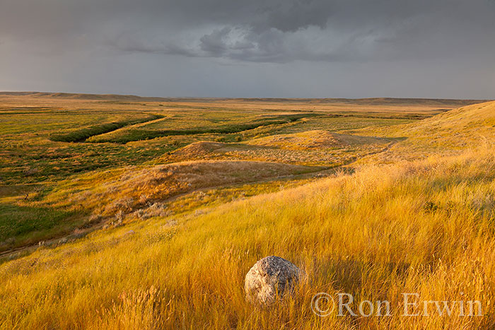 Grasslands National Park