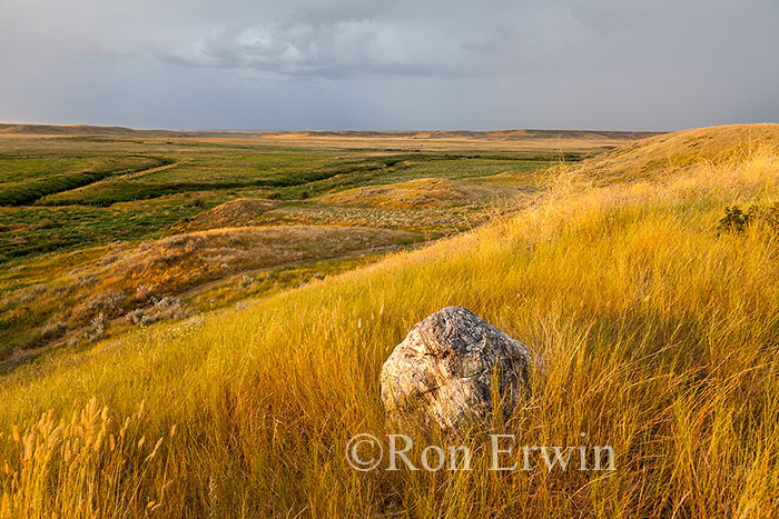 Grasslands National Park, Saskatchewan