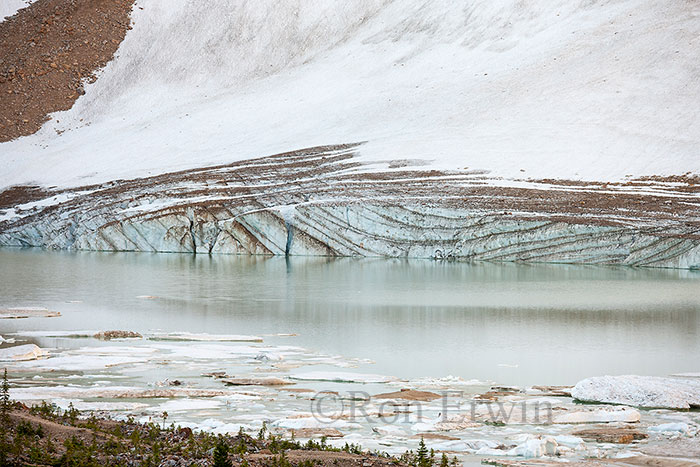 Cavell Glacier, Jasper