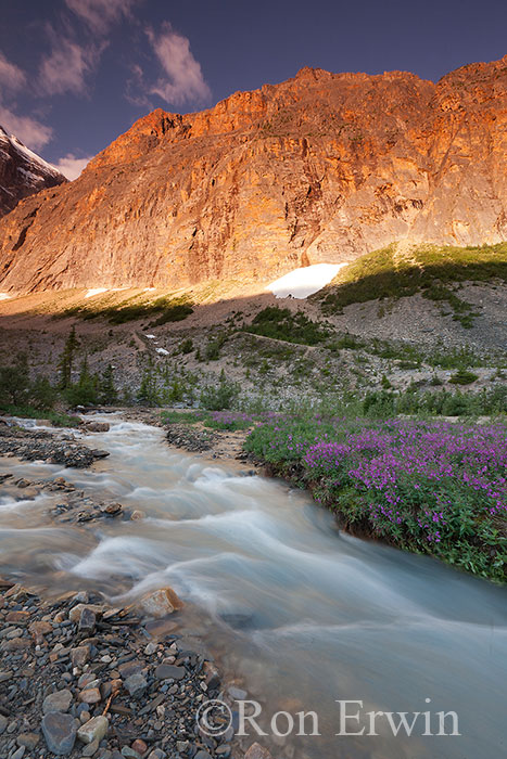 Mount Edith Cavell and glacial runoff