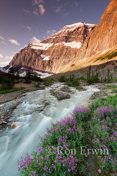  Mount Edith Cavell