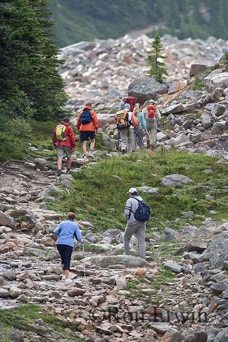 Hikers on Mount Edith Cavell