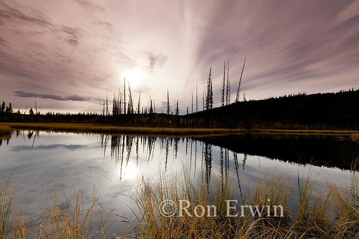 Alaska Sunset