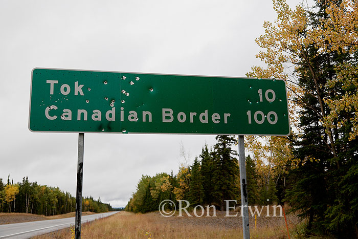 Bullet Holes in Sign