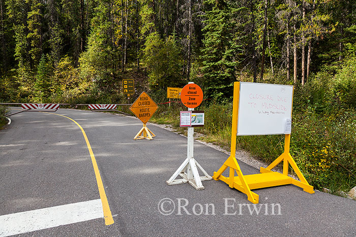Cavell Road Closed Signs, Jasper