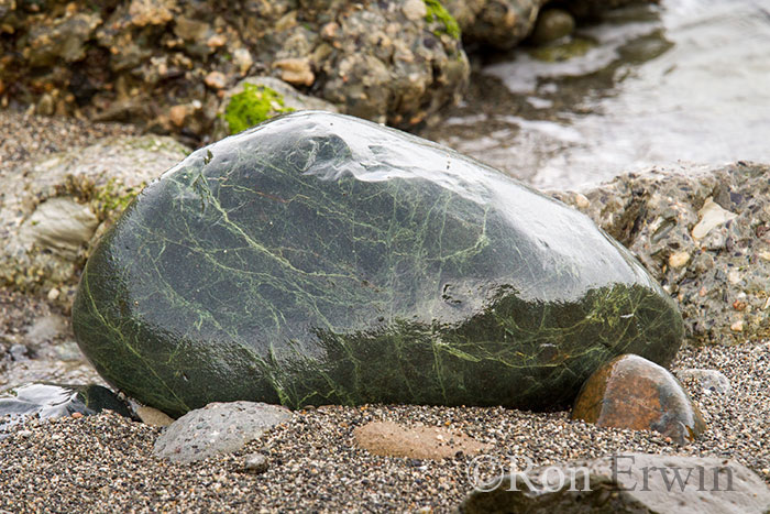 Greenstone, Jackson Bay, New Zealand Greenstone, Jackson Bay, New Zealand
