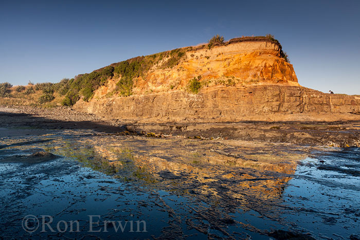 Curio Bay, New Zealand