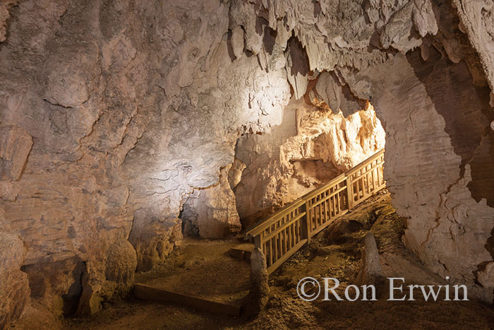 Waitomo Caves, New Zealand