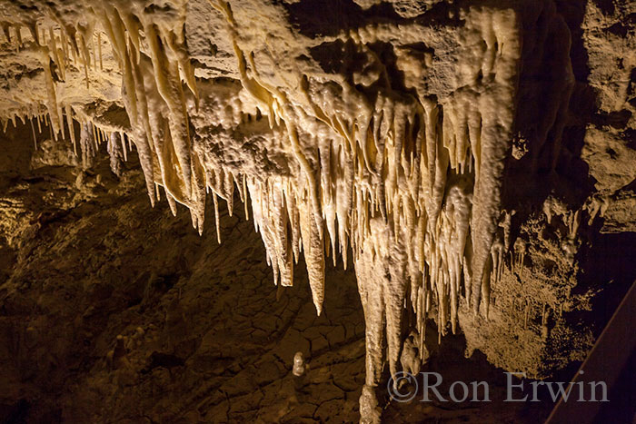 Footwhistle Cave, Waitomo, New Zealand