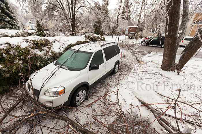 Ice Storm Fallout