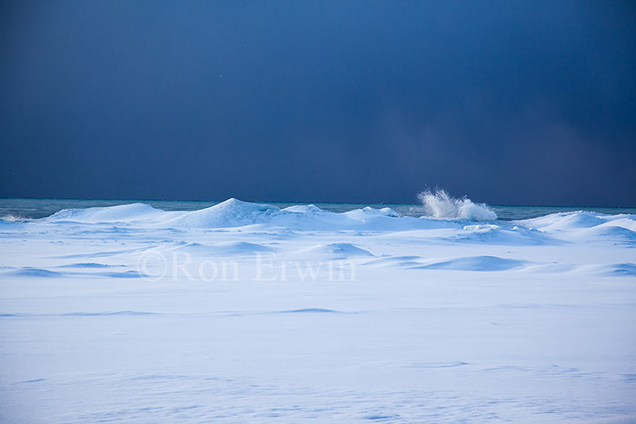 Presqui'ile Provincial Park, ON