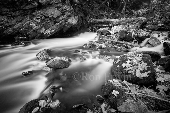 Leaves, Rocks & Stream