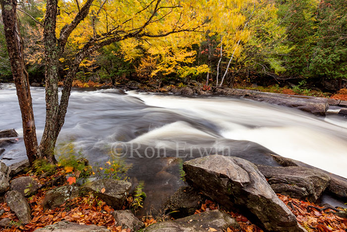 Oxtongue Rapids Park, ON