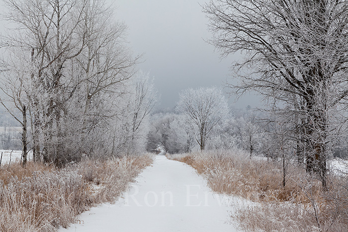 Whitewater Region Ontario Winter