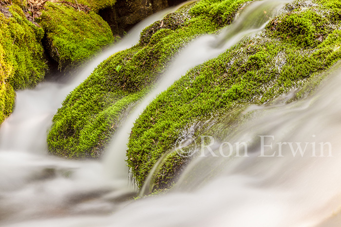 Mamozekel Brook, NB