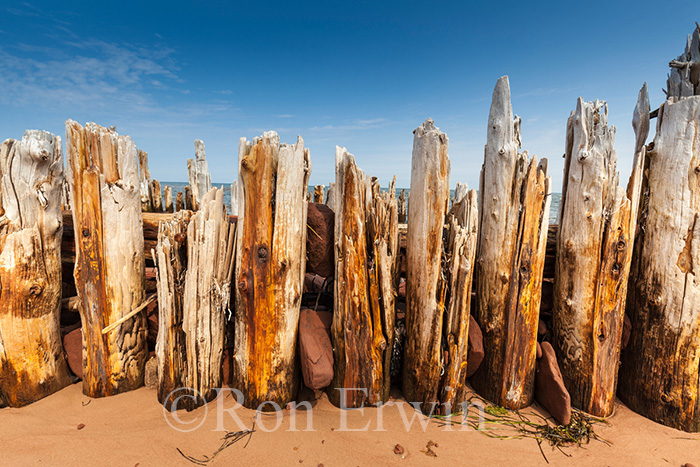 Pilings, St Peters Harbour, PE