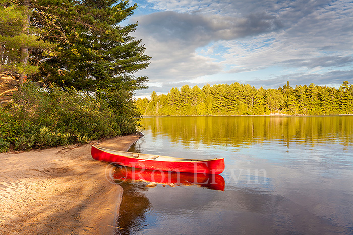 Red Canoe in Algonquin, ON