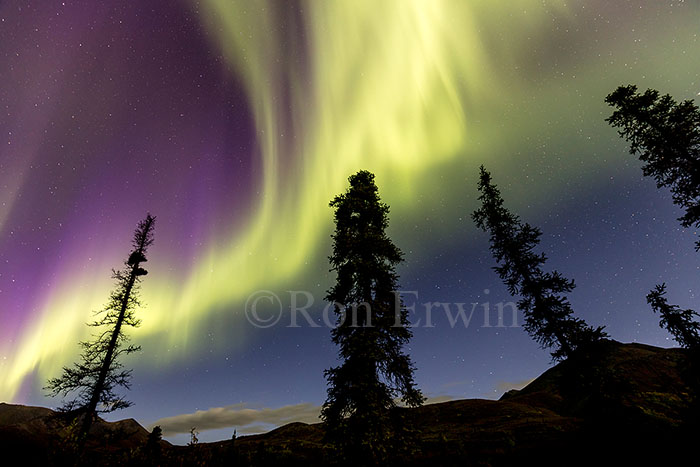 Aurora Borealis at Tombstone Park, YT