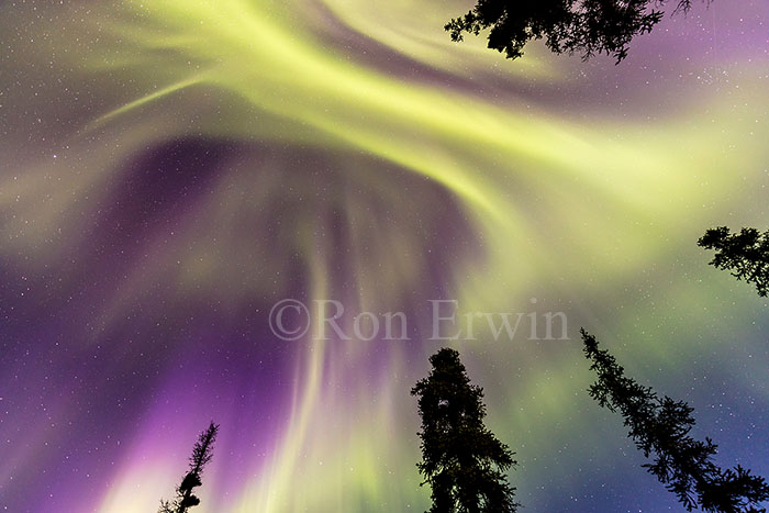 Aurora Borealis at Tombstone Park, YT